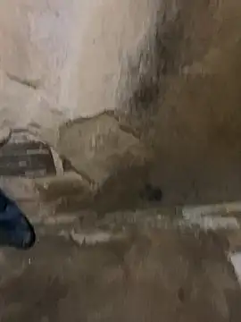 Snapshot of s1437jdjjddjjshbx chatting on March 2025 09:35:02 AM s1437jdjjddjjshbx online show from March 2025 09:35:02 AM