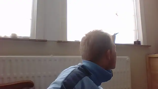 Snapshot of bertolini chatting on October 2025 01:32:01 PM bertolini online show from October 2025 01:32:01 PM