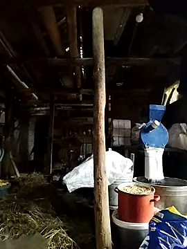 Sarpe84 online show from January 2025 06:03:02 AM