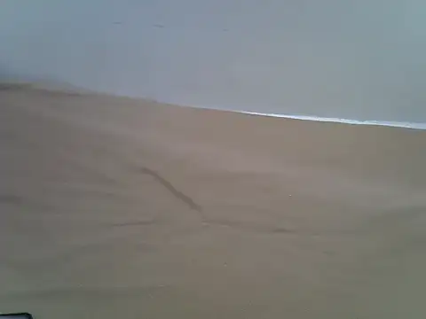 hey its andreana online show from November 2025 10:04:02 AM