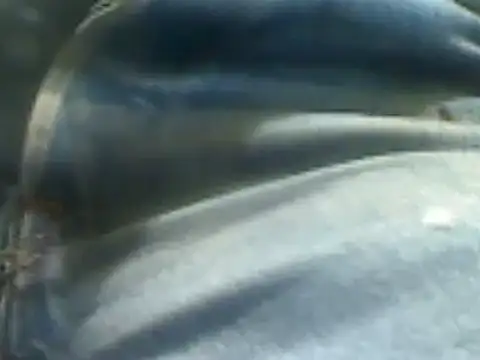 markluvskitty online show from February 2025 02:15:02 PM