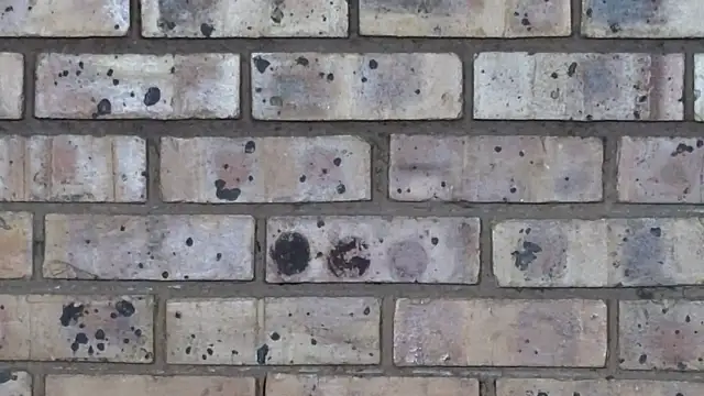 Snapshot of Astoria_Moon chatting on February 2025 07:07:01 PM Astoria Moon online show from February 2025 07:07:01 PM