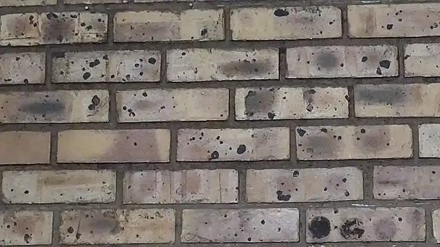 Snapshot of Astoria_Moon chatting on March 2025 07:09:01 PM Astoria Moon online show from March 2025 07:09:01 PM