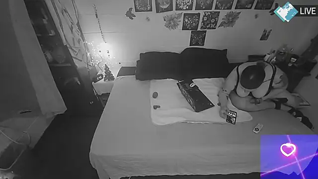 Snapshot of DreamCadian chatting on December 2024 11:47:01 AM DreamCadian online show from December 2024 11:47:01 AM