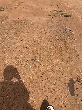 Black-mamba-madingo online show from March 2026 09:42:01 AM