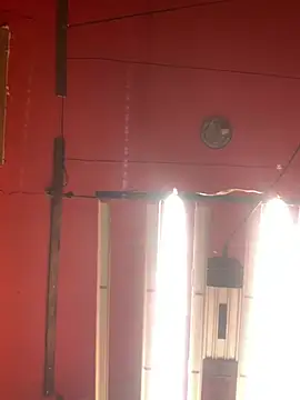 Bigtoyaddict online show from February 2026 12:43:02 PM