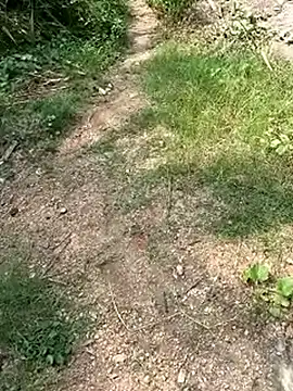 TamizhanKishwin7 online show from November 2025 08:01:02 AM