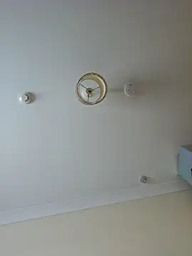 meateater1 online show from November 2025 09:47:02 AM