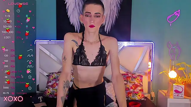 dominic thailor online show from March 2025 02:37:02 PM