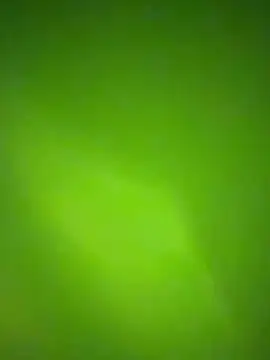 Snapshot of nene_fun chatting on January 2026 10:08:01 PM nene fun online show from January 2026 10:08:01 PM