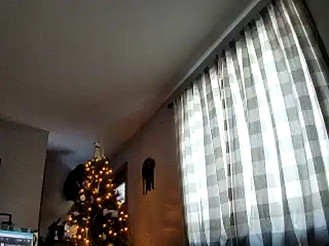 Snapshot of Seymour93 chatting on January 2025 01:31:02 PM Seymour93 online show from January 2025 01:31:02 PM