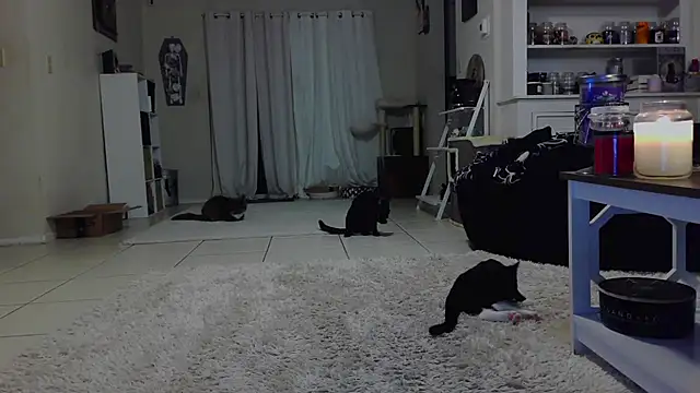 CrystalLakeXO online show from October 2025 07:42:02 AM