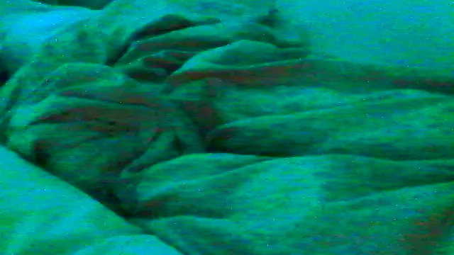 Everydayonli online show from January 2026 01:09:02 AM