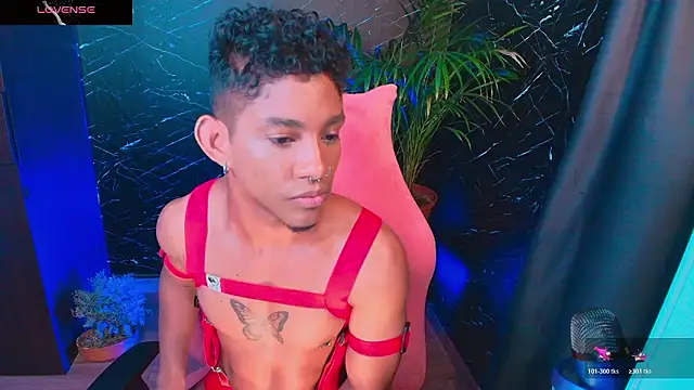 Palo santo online show from February 2026 05:48:01 AM