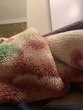 Gengista88 online show from February 2026 01:24:01 AM