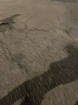 ToAnWTW online show from February 2026 09:57:02 PM