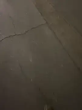 ToAnWTW online show from March 2026 12:49:02 AM