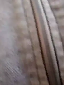 Snapshot of pleasure_and_fantasy chatting on January 2025 03:07:01 PM pleasure and fantasy online show from January 2025 03:07:01 PM