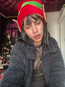  Artemisa X online show from December 2024 05:37:02 PM