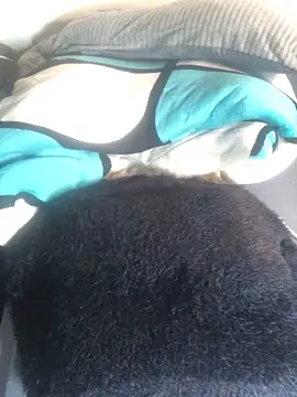 sexy barbie254 online show from March 2025 11:53:01 PM