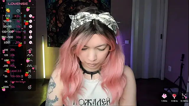 Project hisoka online show from February 2026 10:00:02 AM