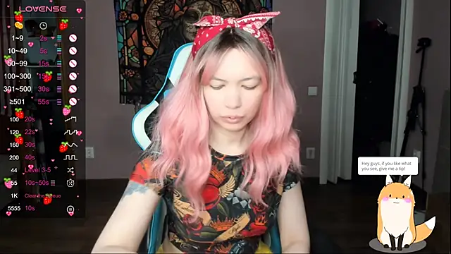 Project hisoka online show from April 2026 12:50:02 PM