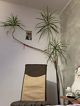 derek1494 online show from January 2026 09:27:01 PM