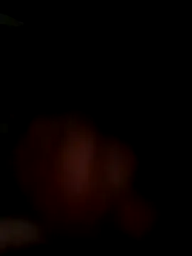 MynameisPaco online show from November 2025 08:53:01 PM