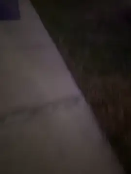 MynameisPaco online show from December 2025 11:23:01 PM