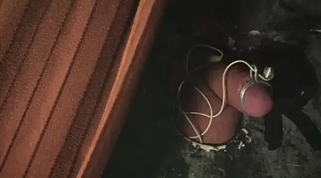 TweakyDude online show from March 2025 05:20:02 AM