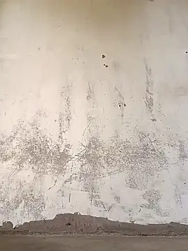 Snapshot of Yasha_14C_Creator chatting on November 2025 07:19:01 AM Yasha 14C Creator online show from November 2025 07:19:01 AM