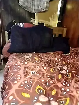 Stallion100 online show from February 2025 08:06:01 AM