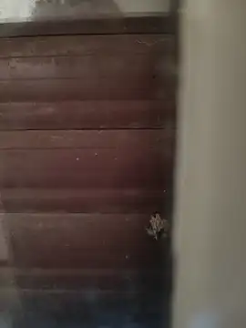 hardgetsex online show from October 2025 04:05:02 PM