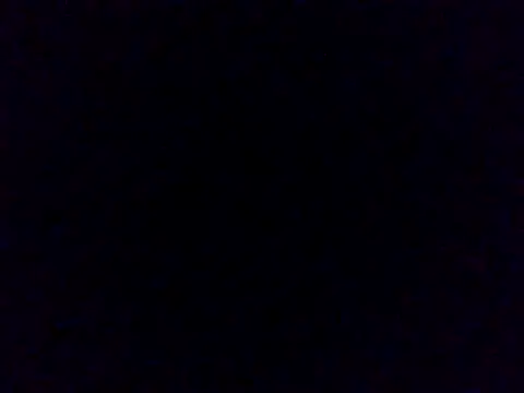 Wynni online show from May 2026 02:56:02 PM