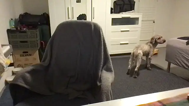 Totipro69 online show from February 2025 07:05:02 PM