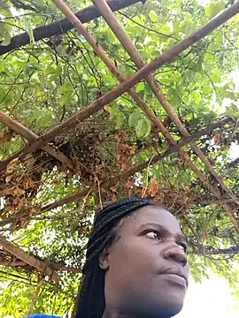 missarpie online show from January 2026 11:37:01 AM