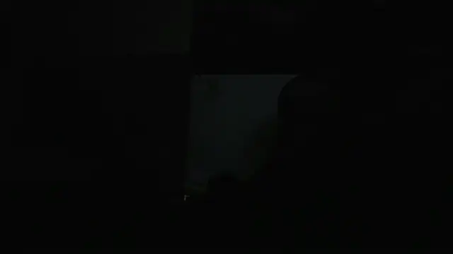 guy master online show from December 2024 01:44:01 PM