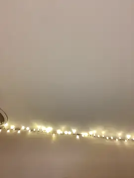 Snapshot of princesslola666 chatting on January 2025 12:37:01 AM princesslola666 online show from January 2025 12:37:01 AM