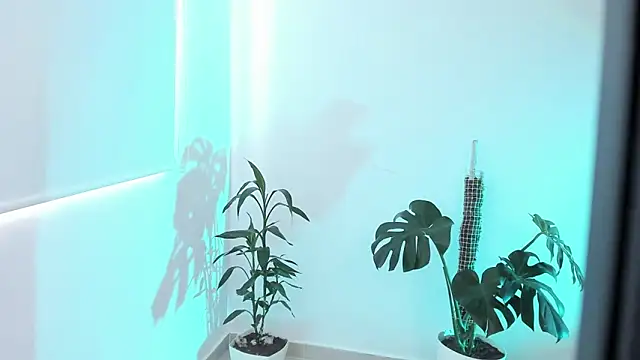 rossth1 online show from March 2026 08:46:01 PM