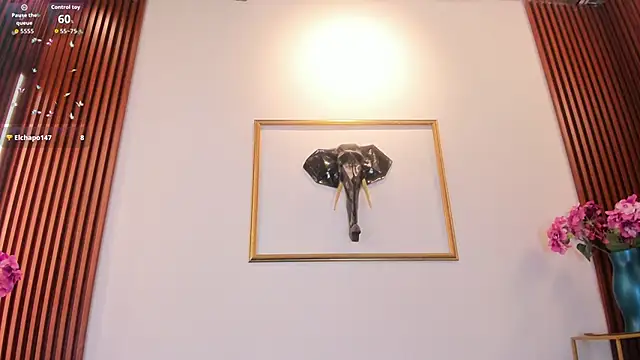 Zayda 1 online show from February 2026 08:14:01 PM