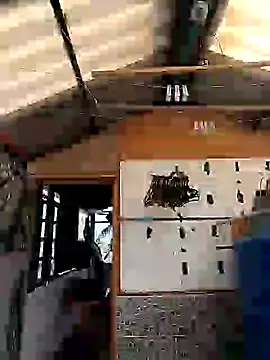 rebekka simpson online show from March 2025 08:10:02 PM