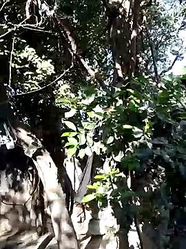 Hot-rubina online show from March 2025 03:18:02 AM