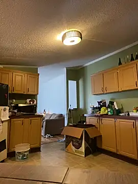 Snapshot of velvetta_ chatting on December 2024 04:17:01 PM velvetta online show from December 2024 04:17:01 PM