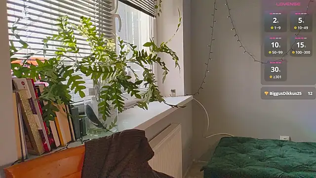 monlight  dana online show from January 2025 01:17:01 PM