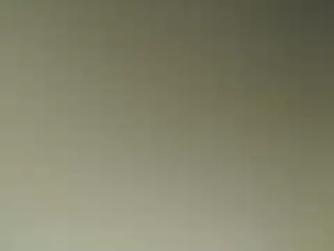 Snapshot of Lovensetest chatting on March 2025 11:12:02 AM Lovensetest online show from March 2025 11:12:02 AM