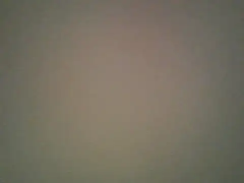 Snapshot of Lovensetest chatting on October 2025 05:53:02 AM Lovensetest online show from October 2025 05:53:02 AM