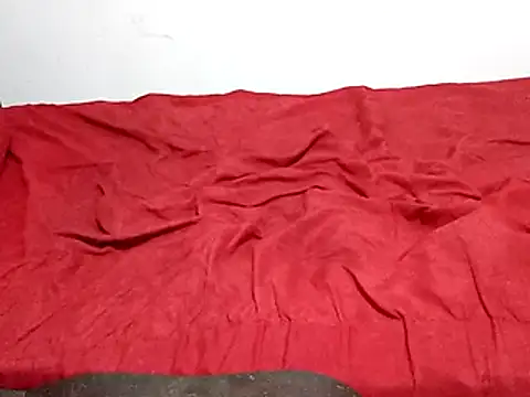 Snapshot of wel9238 chatting on March 2026 01:51:01 AM wel9238 online show from March 2026 01:51:01 AM