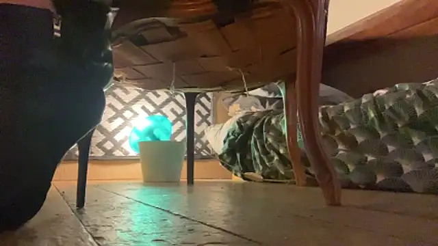 alexheels boots online show from November 2025 04:04:01 AM