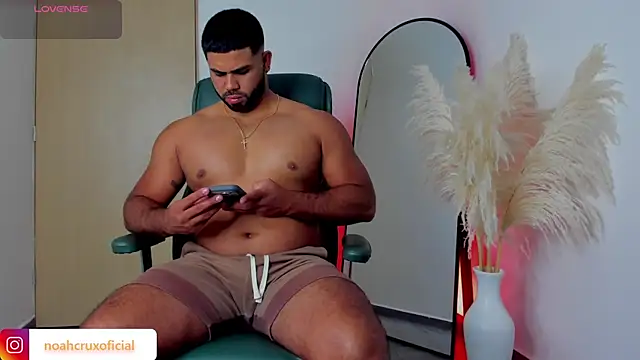 Snapshot of noah_crux chatting on June 2026 01:19:02 AM noah crux online show from June 2026 01:19:02 AM