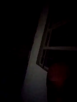 Samuelpau online show from January 2026 04:14:01 AM